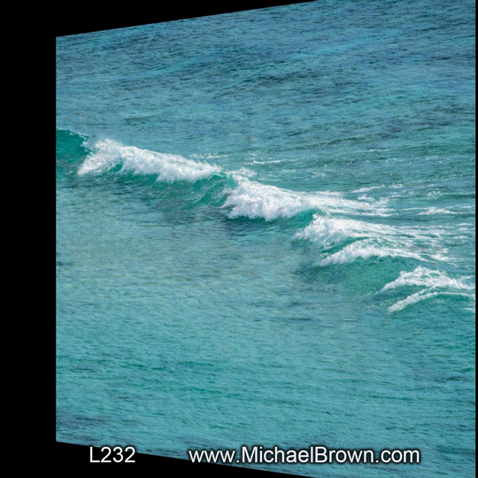 L311 Surfers