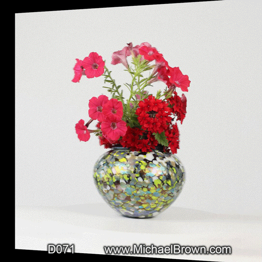 D071 Petunias - 3D
